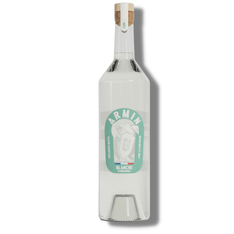 Armin Blanche d'Armagnac