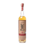 El rey Zapoteco Joven