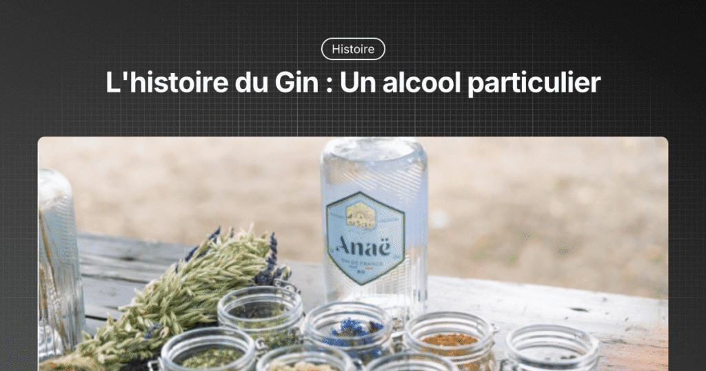 histoire du gin