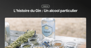histoire du gin