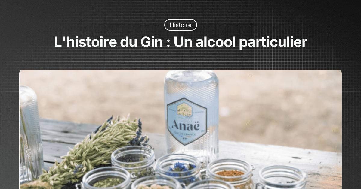 histoire du gin