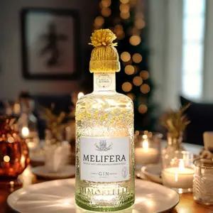 Melifera noel lumineuse